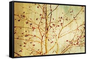 Etched-Andrew Michaels-Framed Stretched Canvas