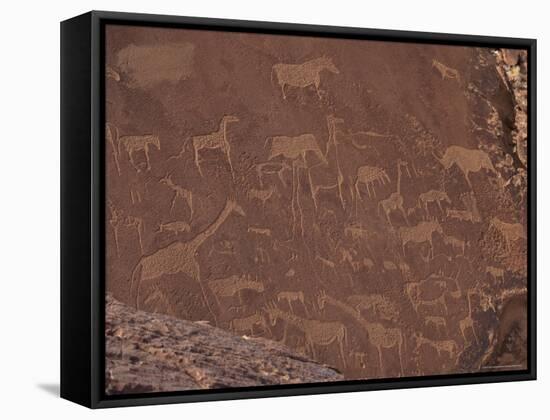 Etchings on Sandstone, 6000 Years Old, Finest Rock Art in Africa, Damaraland, Namibia-Tony Waltham-Framed Stretched Canvas