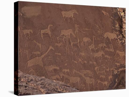 Etchings on Sandstone, 6000 Years Old, Finest Rock Art in Africa, Damaraland, Namibia-Tony Waltham-Stretched Canvas