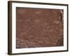 Etchings on Sandstone, 6000 Years Old, Finest Rock Art in Africa, Damaraland, Namibia-Tony Waltham-Framed Photographic Print