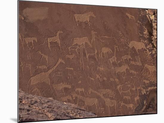 Etchings on Sandstone, 6000 Years Old, Finest Rock Art in Africa, Damaraland, Namibia-Tony Waltham-Mounted Photographic Print