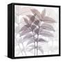 Eternal Bloom-Albert Koetsier-Framed Stretched Canvas