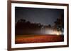 Eternal light, Night skies, RO Ranch Equestrian Park, Mayo, Florida-Maresa Pryor-Framed Premium Photographic Print