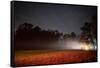 Eternal light, Night skies, RO Ranch Equestrian Park, Mayo, Florida-Maresa Pryor-Framed Stretched Canvas