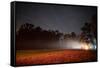 Eternal light, Night skies, RO Ranch Equestrian Park, Mayo, Florida-Maresa Pryor-Framed Stretched Canvas