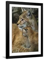 Eternal Love-Staffan Widstrand-Framed Giclee Print