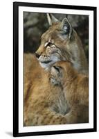 Eternal Love-Staffan Widstrand-Framed Giclee Print