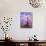 Eternal Spirit-Judy Mastrangelo-Giclee Print displayed on a wall