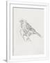 Gramercy White
