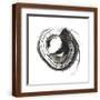 Brown Frame