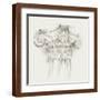 Brown Frame