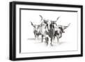 Black Frame
