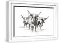 White Frame
