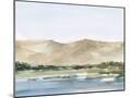 Wood Mount
