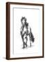 Brown Frame