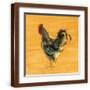 Brown Frame