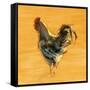 Canvas Black