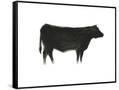 Canvas Black