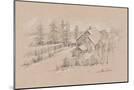 Wood Mount
