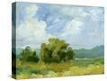 Stretched Canvas