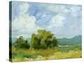 Stretched Canvas