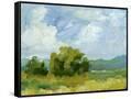 Canvas Black