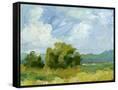 Canvas Black