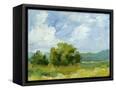 Canvas Black