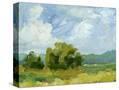 Stretched Canvas