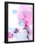Essential Black