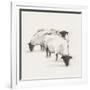 Gramercy White