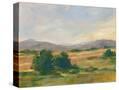 Stretched Canvas