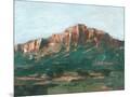 Wood Mount