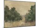 Wood Mount