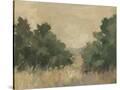 Stretched Canvas