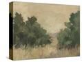 Stretched Canvas
