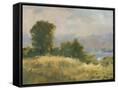 Canvas Black