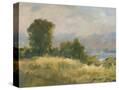Stretched Canvas