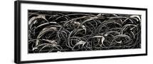 Black Frame