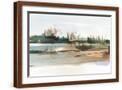 Brown Frame