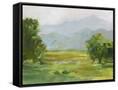 Canvas Black