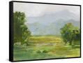 Canvas Black