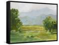 Canvas Black