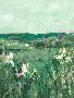 Just the Print