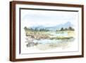 Brown Frame