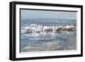 Black Frame