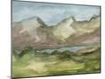 Wood Mount