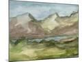 Wood Mount