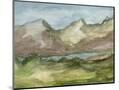 Wood Mount