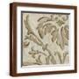 Brown Frame